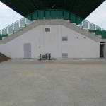 Limpiando040712 (3)