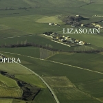MAYO2006 (1)