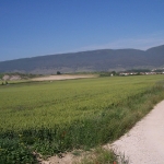 SETBRE2005