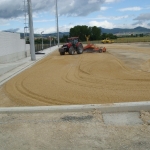 SegundoCampo110612 (4)