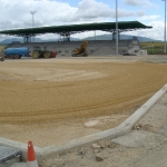 SegundoCampo110612 (5)