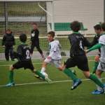 241113-cdpober